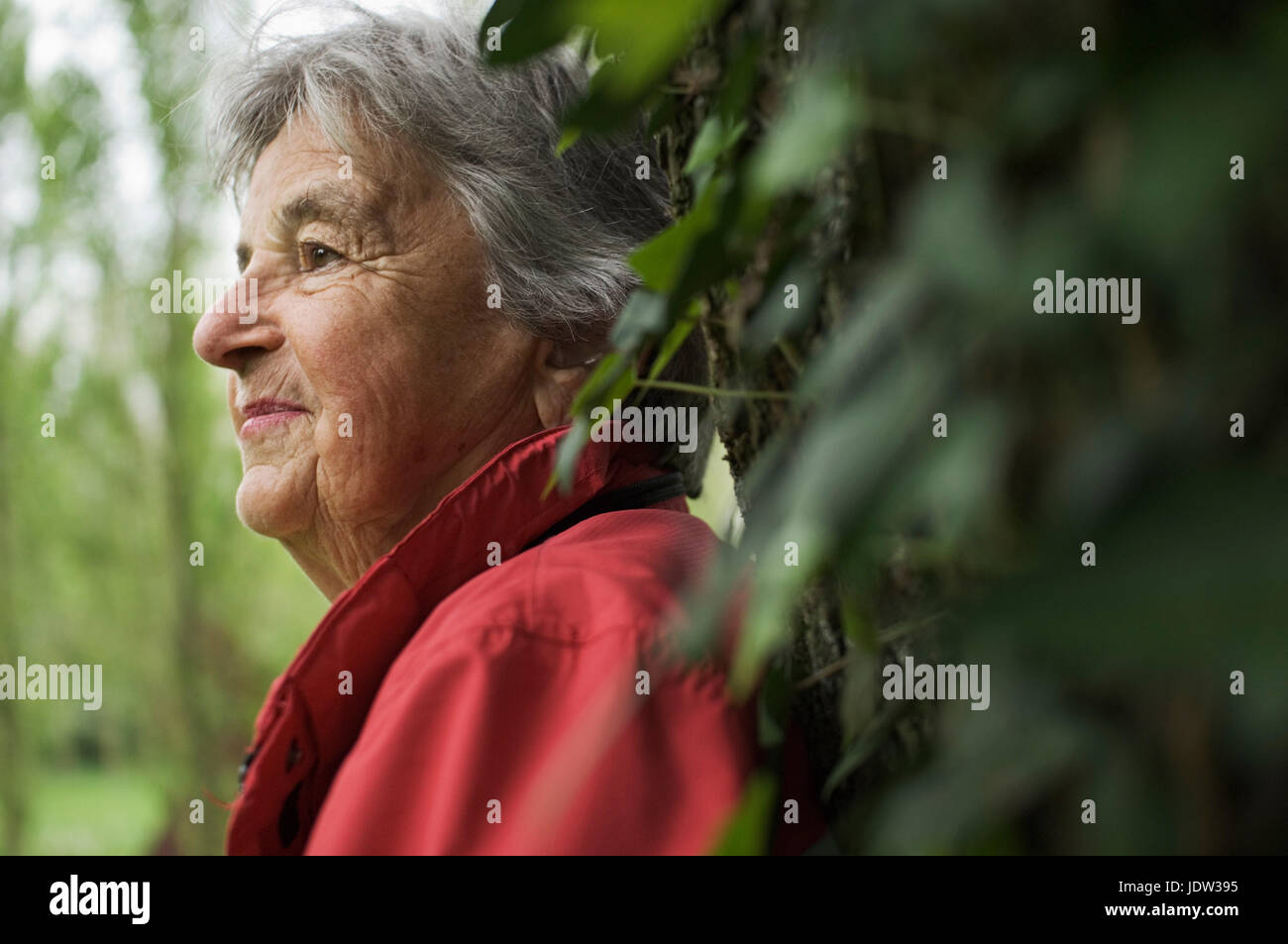 Older woman leaning on tree in park Stock Photo