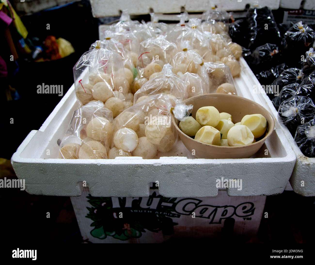 Green sea turtle eggs for sale hires stock photography and images Alamy
