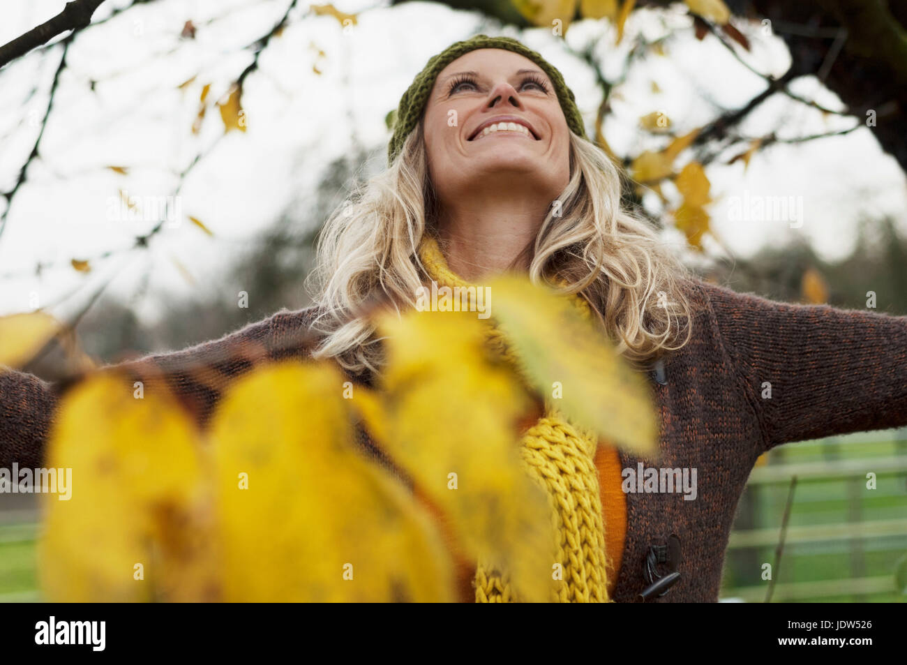 Mature woman looking up at tree in autumn, smiling Stock Photo