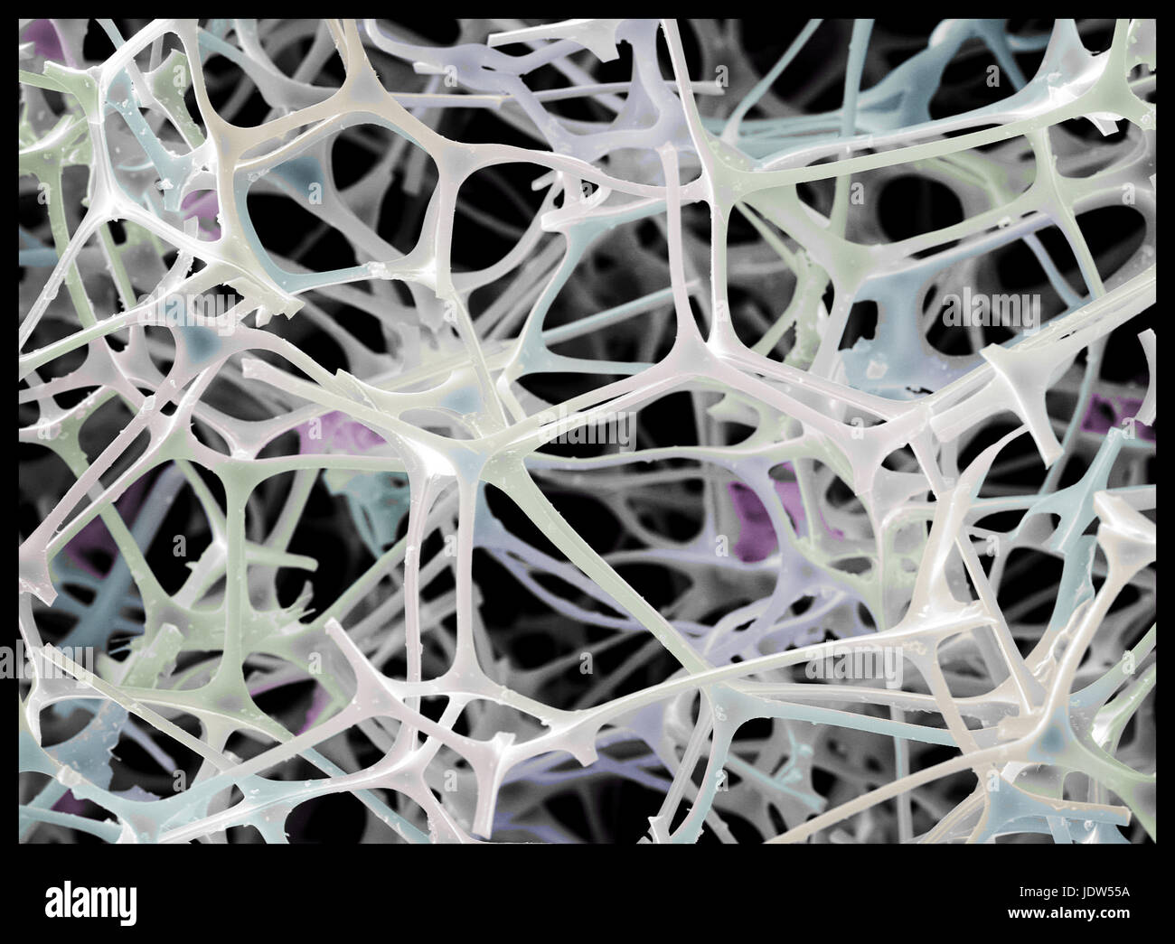 Microstructure of "Magic Eraser" material, SEM Stock Photo Alamy