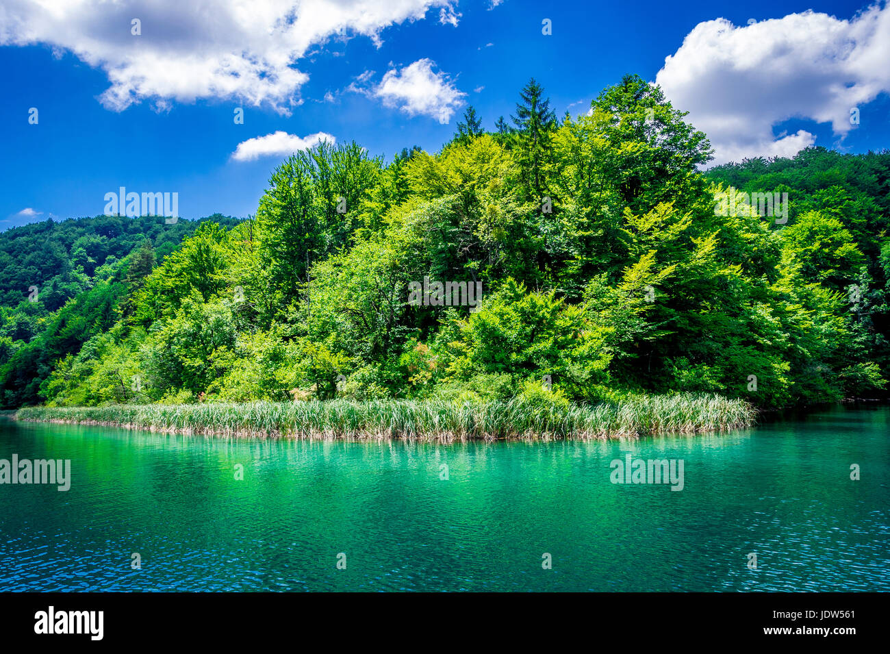 The largest lake at Plitvice Lakes National Park connects the upper and lower lakes Stock Photo