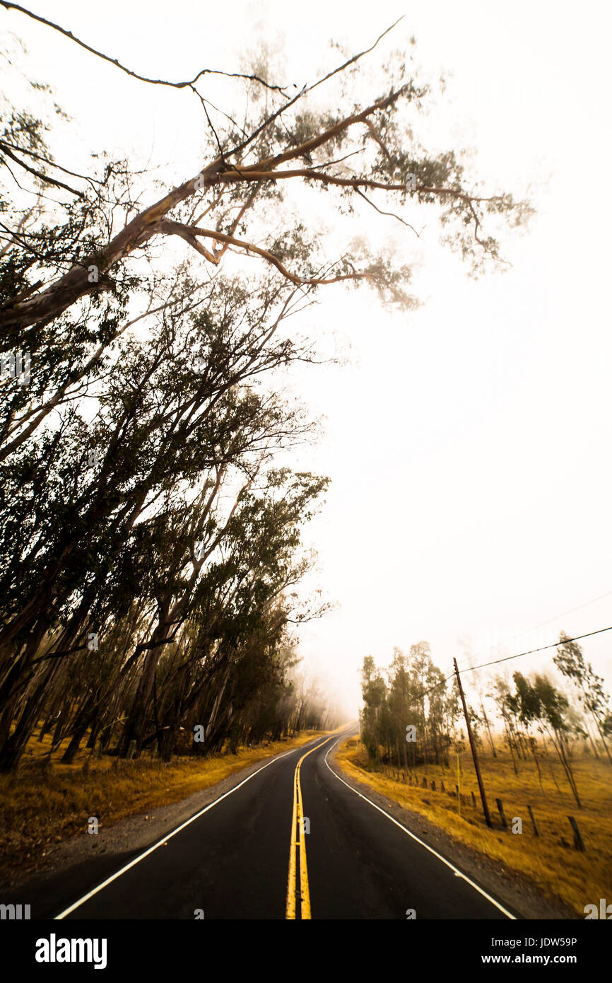 Saddle road, Big Island, Hawaii, USA Stock Photo Alamy
