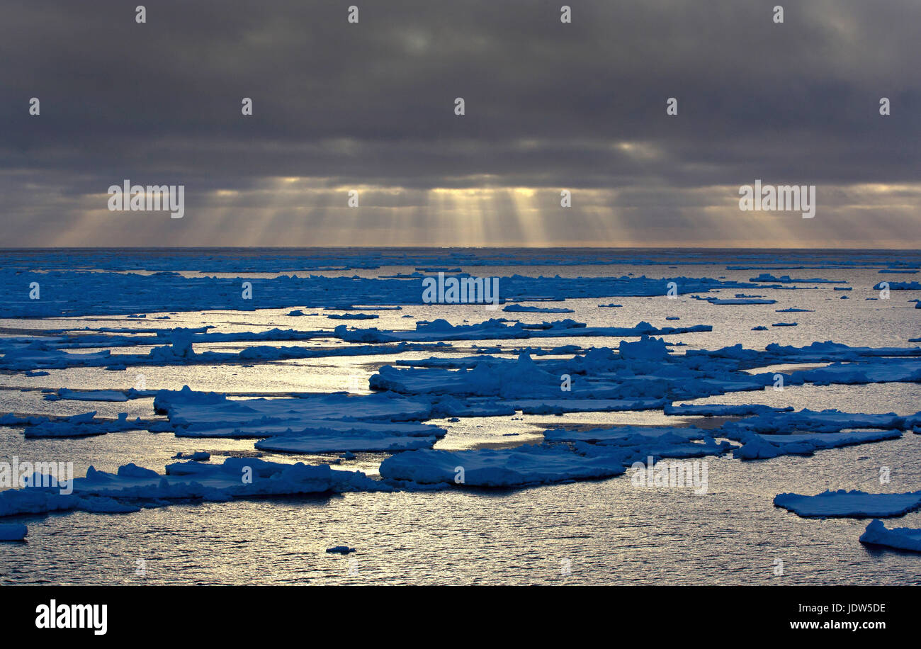 Ice floe in the Southern Ocean, 180 miles north of East Antarctica, Antarctica Stock Photo
