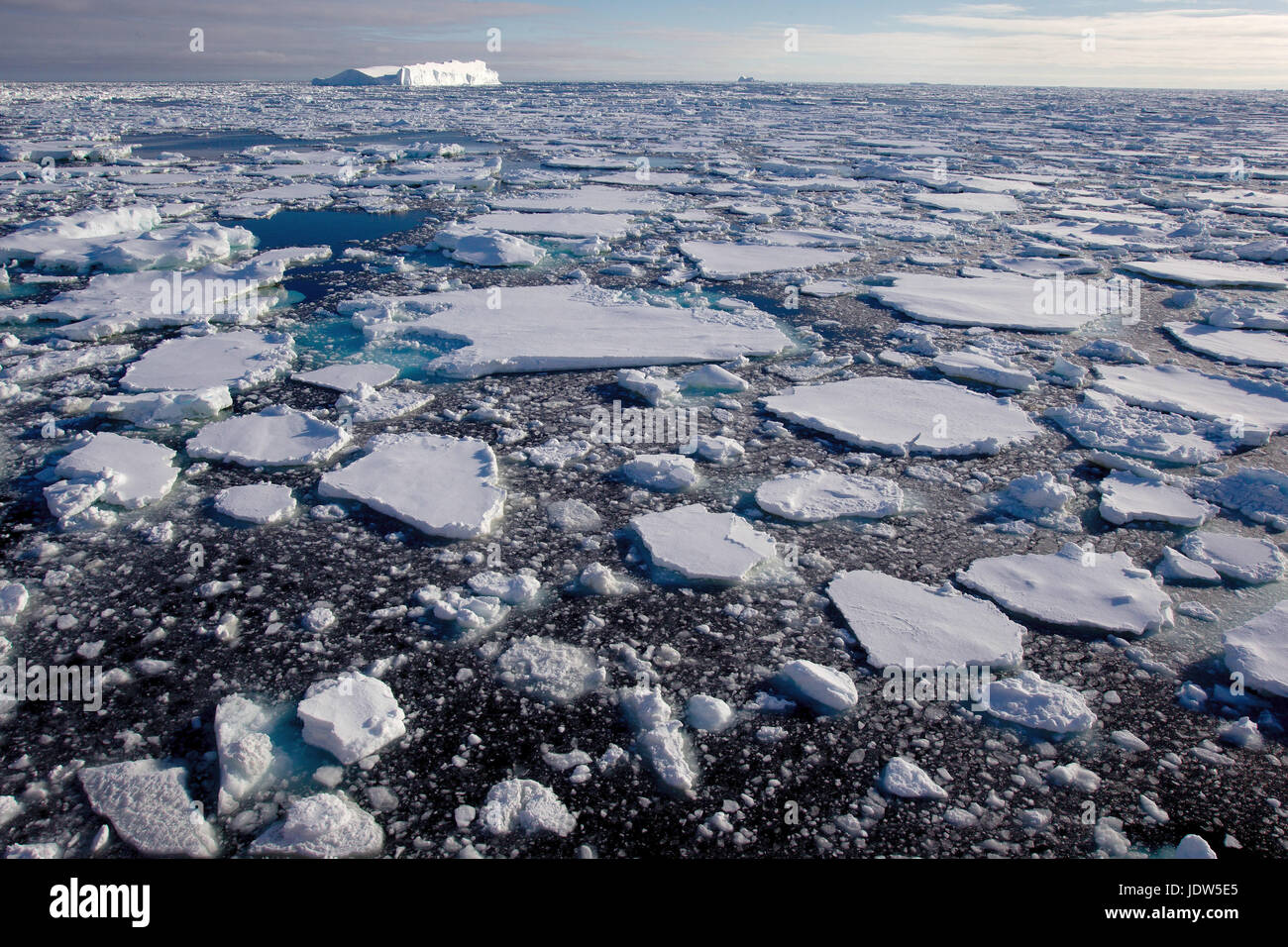 Ice floe in the southern ocean, 180 miles north of East Antarctica, Antarctica Stock Photo