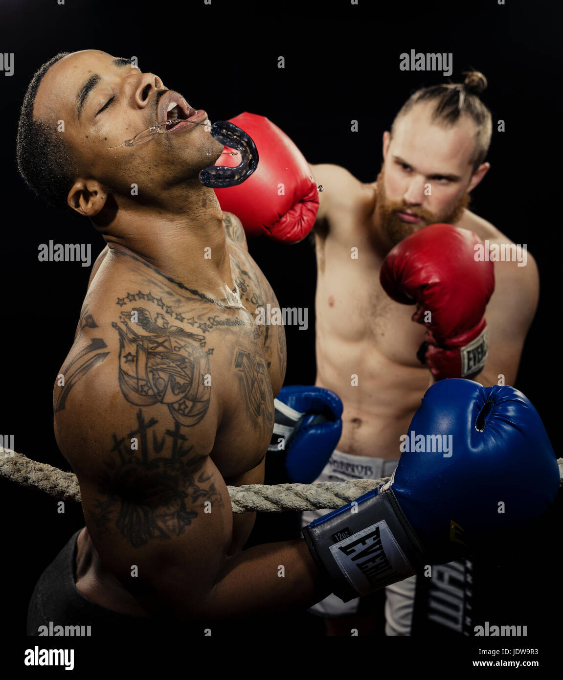 Boxer / Fighter Stock Photo - Alamy