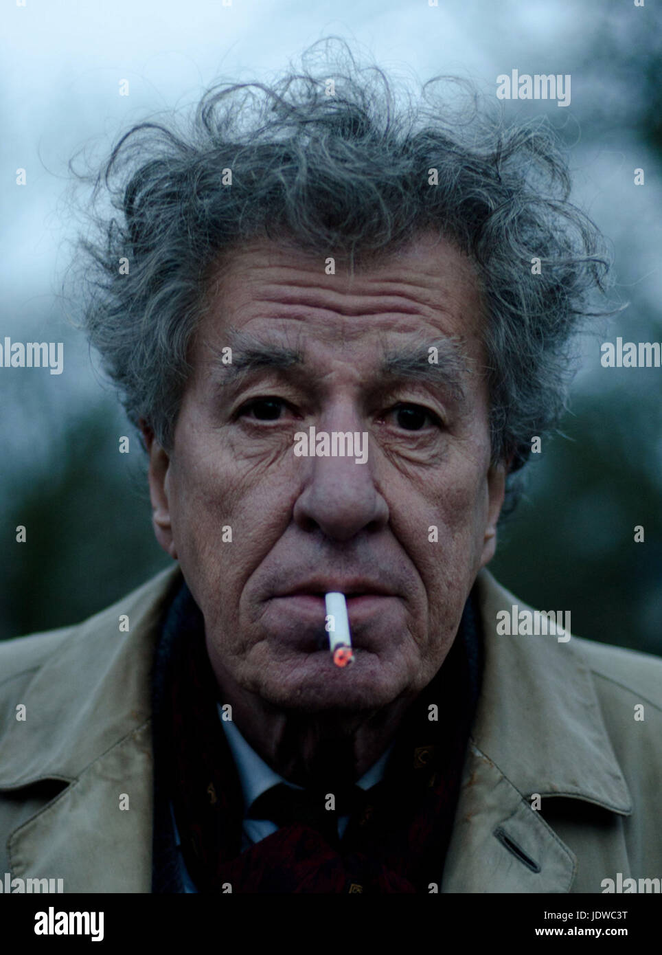 FINAL PORTRAIT (2017)  GEOFFREY RUSH  STANLEY TUCCI (DIR)  OLIVE PRODUCTIONS/MOVIESTORE COLLECTION LTD Stock Photo