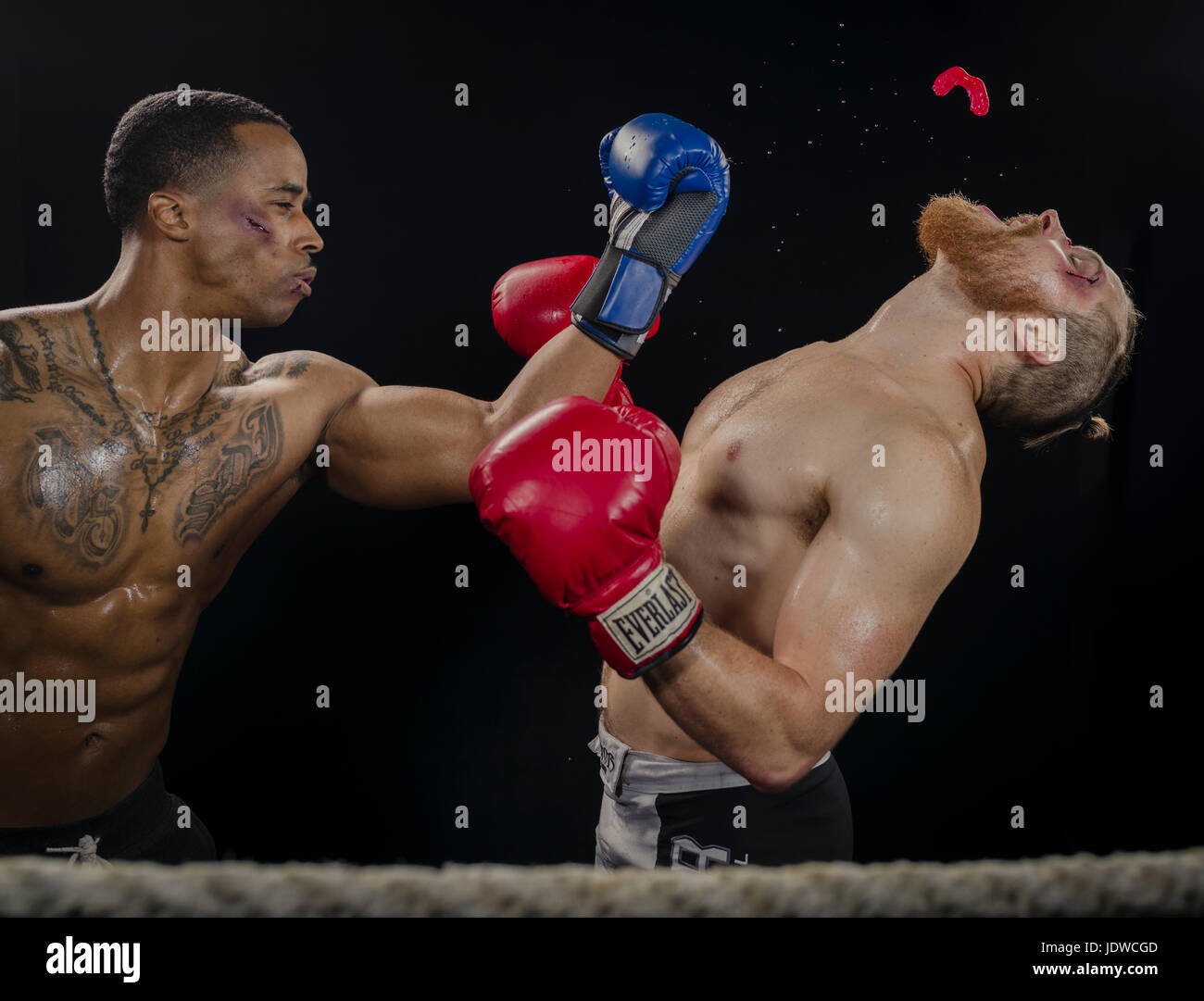 Boxer / Fighter knockout K.O Stock Photo - Alamy