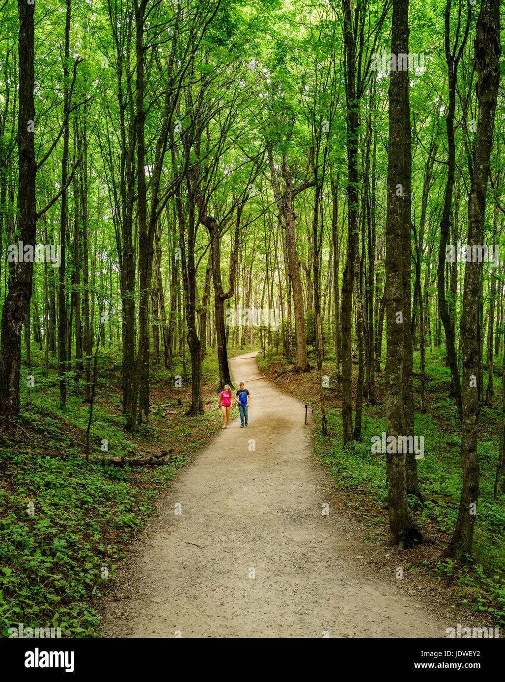 Pictured Rocks National Lakeshore, Michigan, August 10, 2016: young couple is walking on a trail to Miners Falls - a popular tourist destination in Up Stock Photo