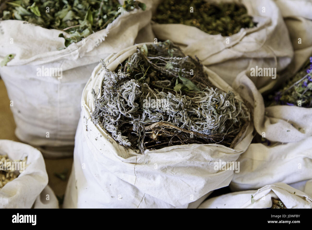 Aromatic herbs in a market, detail of herbal medicine and condiments