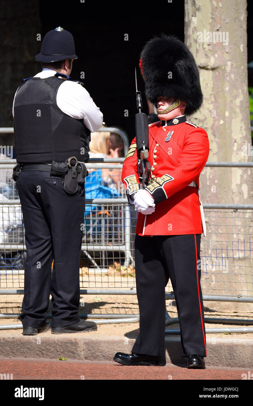 Coldstream guardsman hires stock photography and images Alamy
