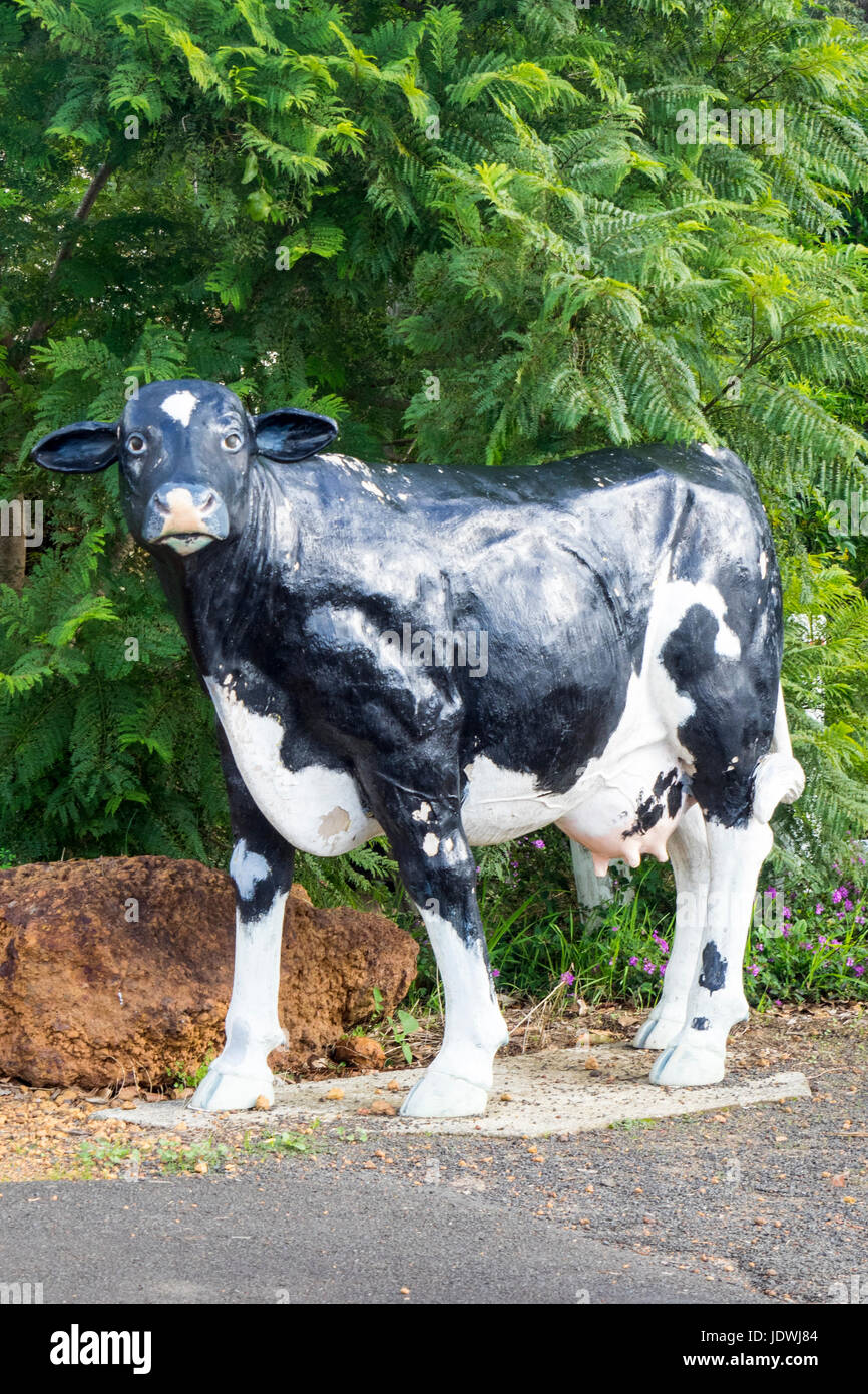 A life size fibreglass cow sculpture in Cowaramup, Western Australia
