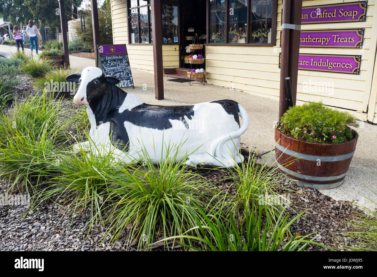 A life size fibreglass cow sculpture in Cowaramup, Western Australia