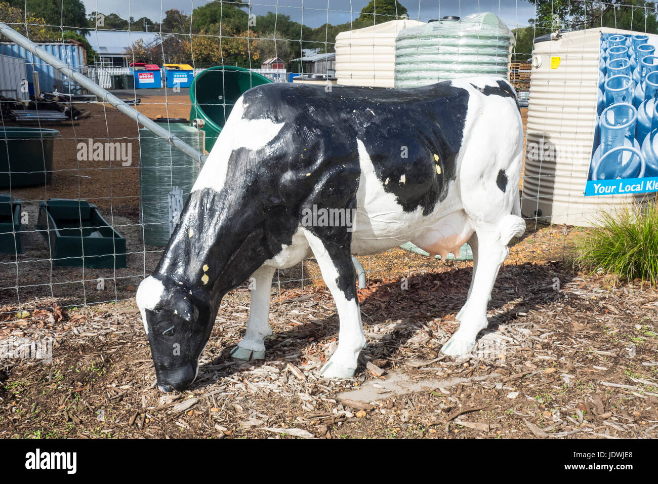 A life size fibreglass cow sculpture and rainwater tanks in Cowaramup