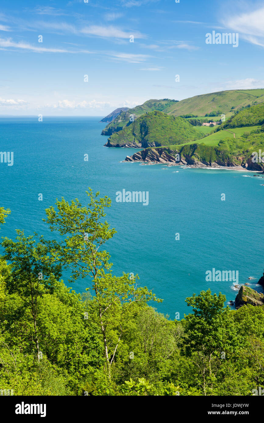 View of Woody Bay and the Bristol Channel with Valley of the Rocks and Foreland Point beyond. Exmoor National Park, North Devon, England. Stock Photo