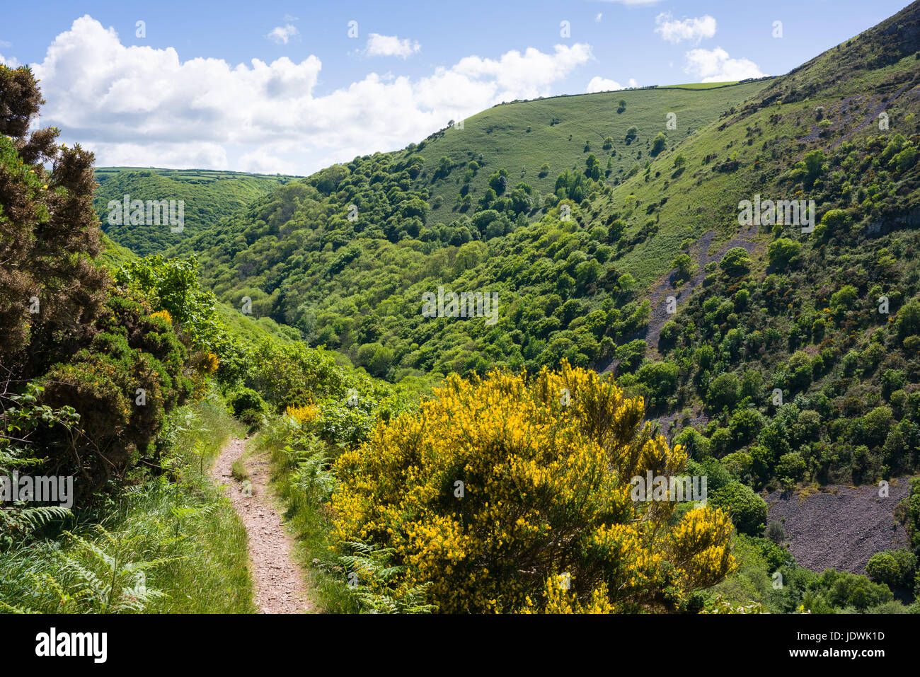 The South West Coast Path at Heddon Valley in Exmoor National Park, North Devon, England. Stock Photo
