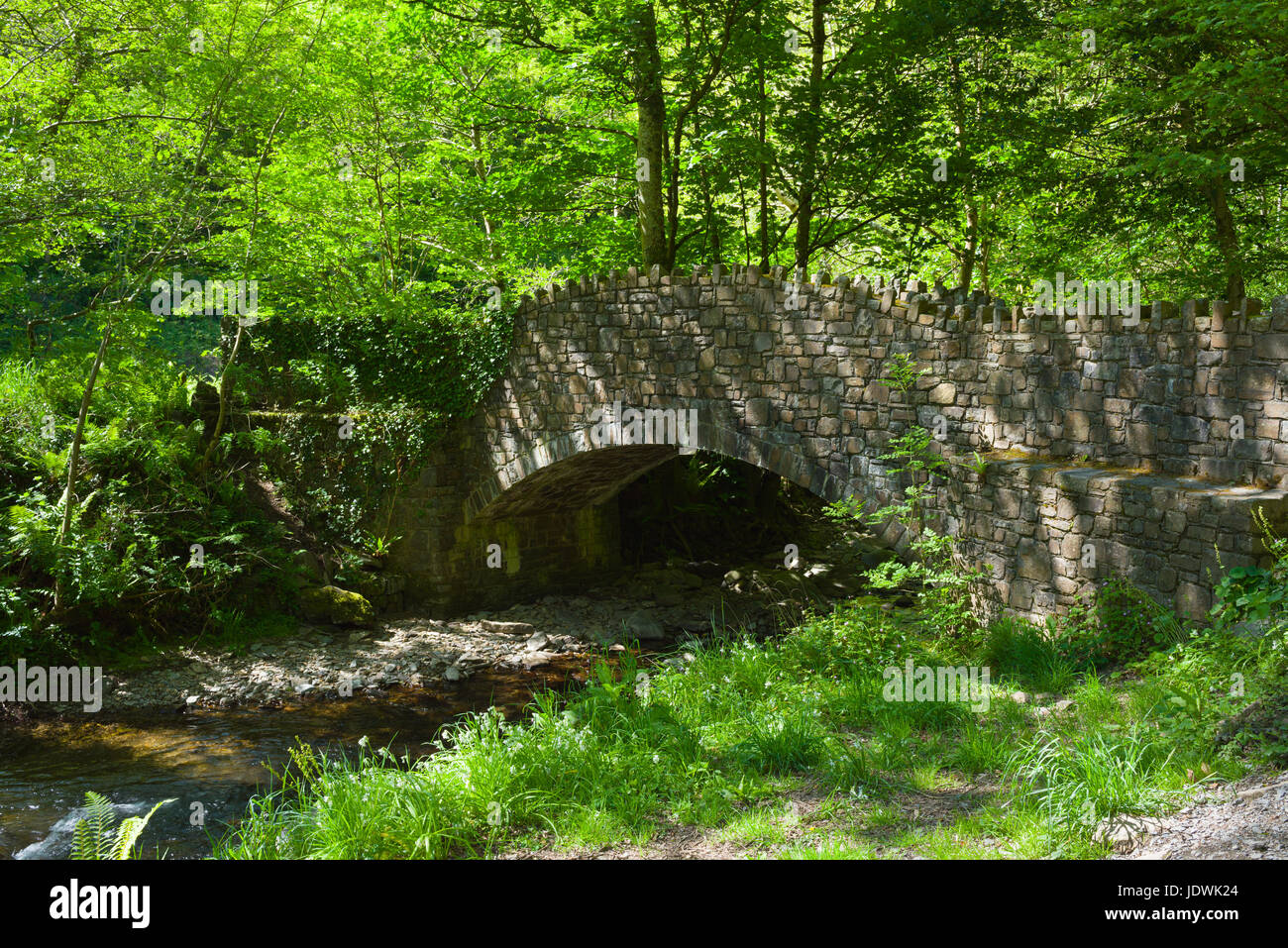 Bridge over the River Heddon in the Heddon Valley in Exmoor National Park, North Devon, England. Stock Photo