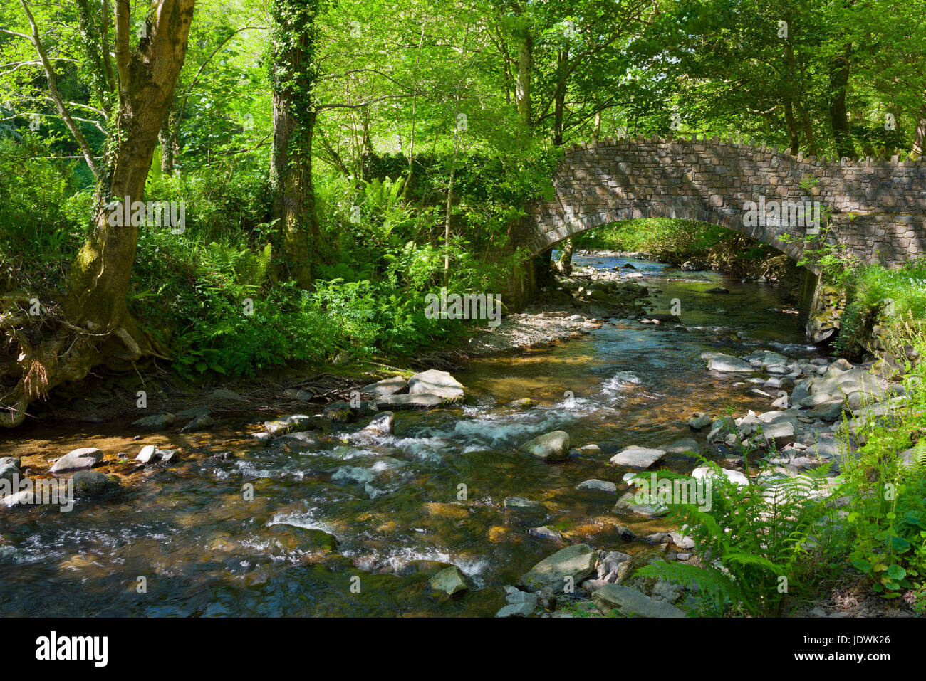 Bridge over the River Heddon in the Heddon Valley in Exmoor National Park, North Devon, England. Stock Photo