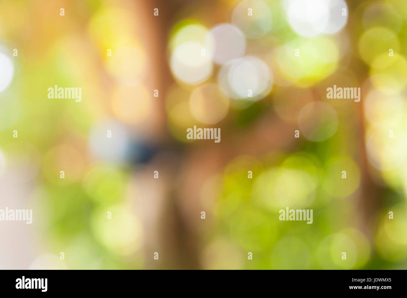 blurred of fresh healthy green bio background with abstract blurred foliage and bright summer sunlight Stock Photo