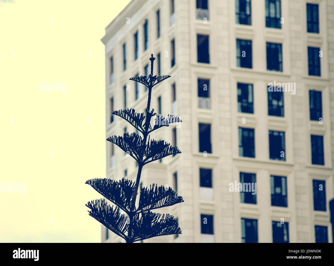 Nature Meets Urban High Resolution Stock Photography and Images - Alamy