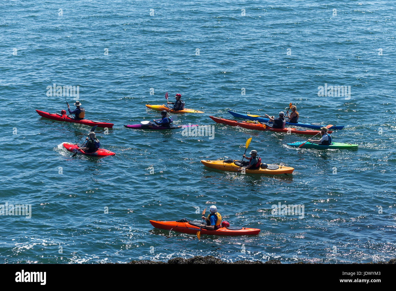 Colourful canoeists set of in kayaks canoes in Plymouth Harbour, Stock Photo