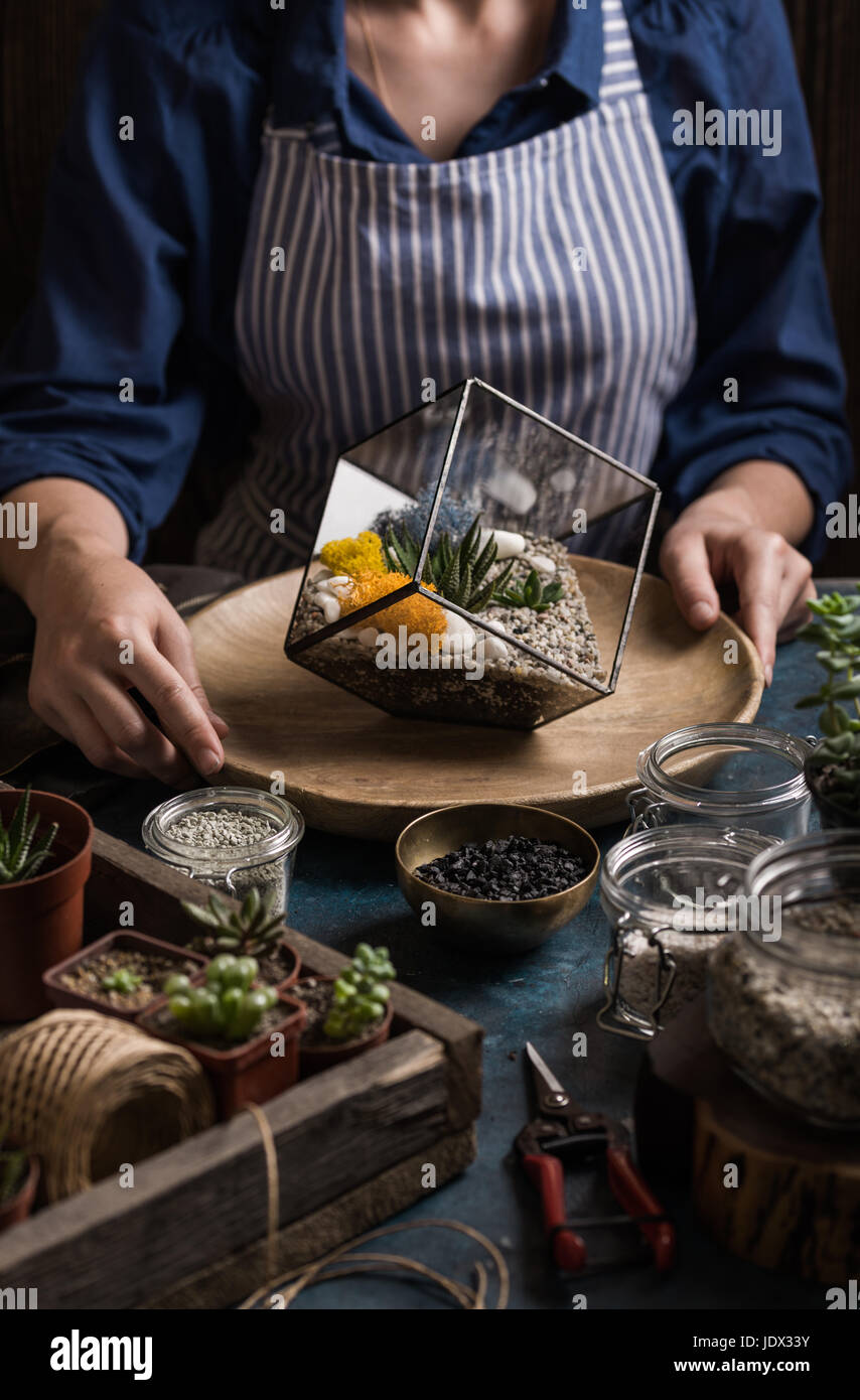 Succulents mini garden making step by step. Story in dark colors Stock Photo