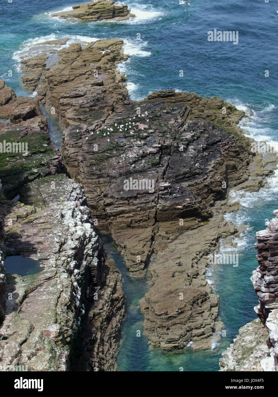 high angle detail of a rocky coast in Brittany, France Stock Photo - Alamy
