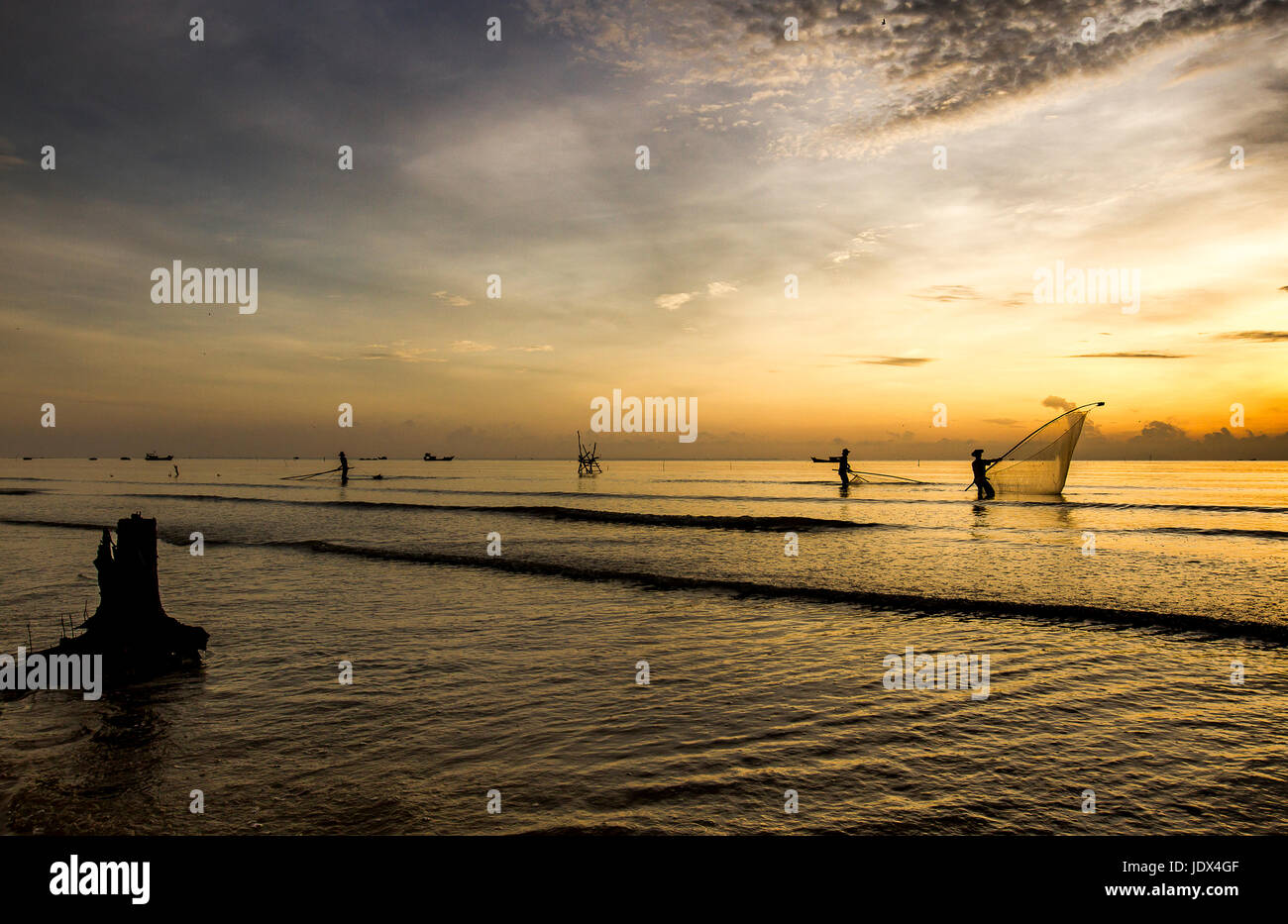 Sea clam digging fishermen golden sunrise Tan Thanh beach Go Cong Tien Giang Viet Nam Stock Photo