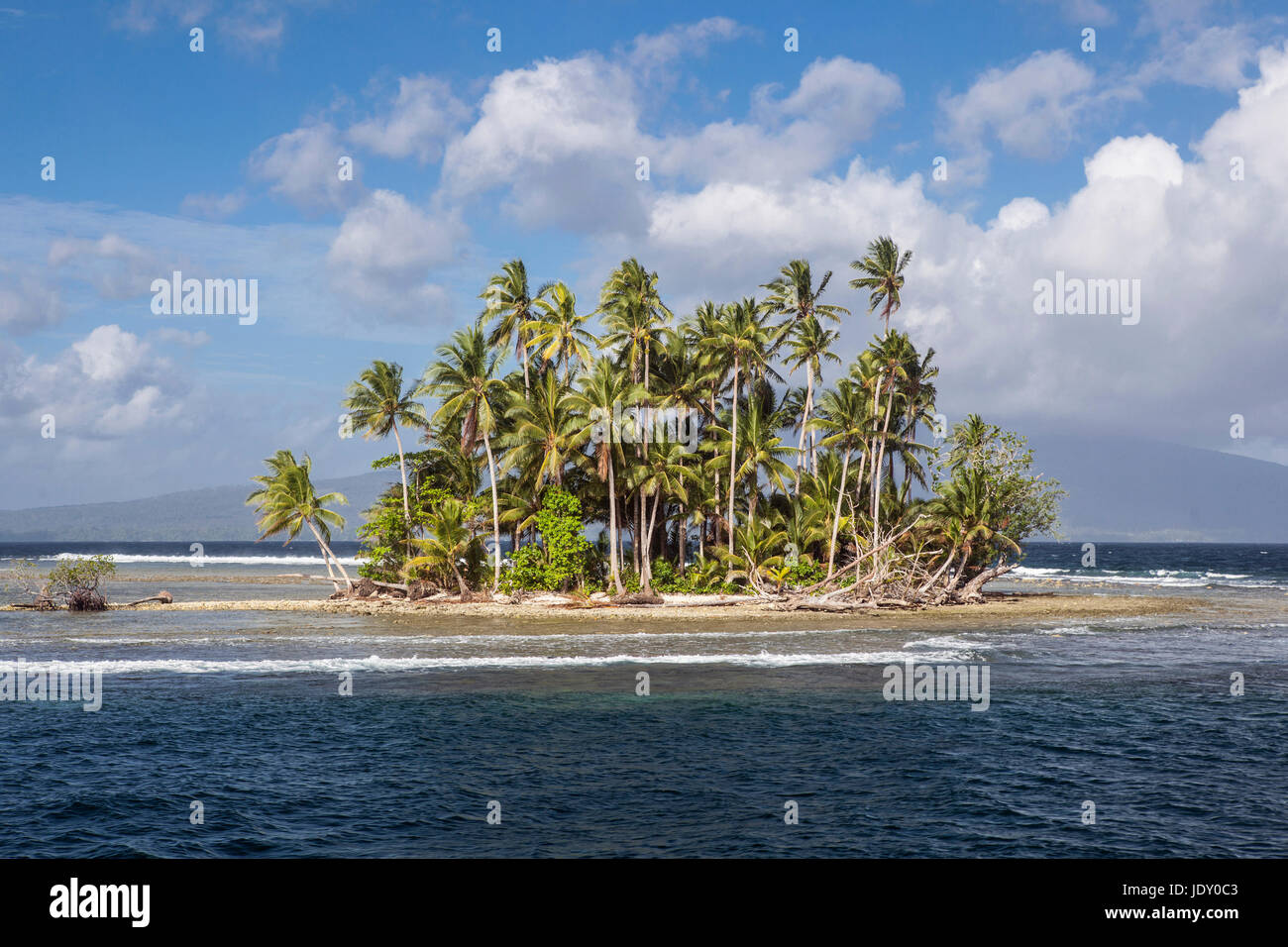 Palmtree Island, Melanesia, Pacific Ocean, Solomon Islands Stock Photo
