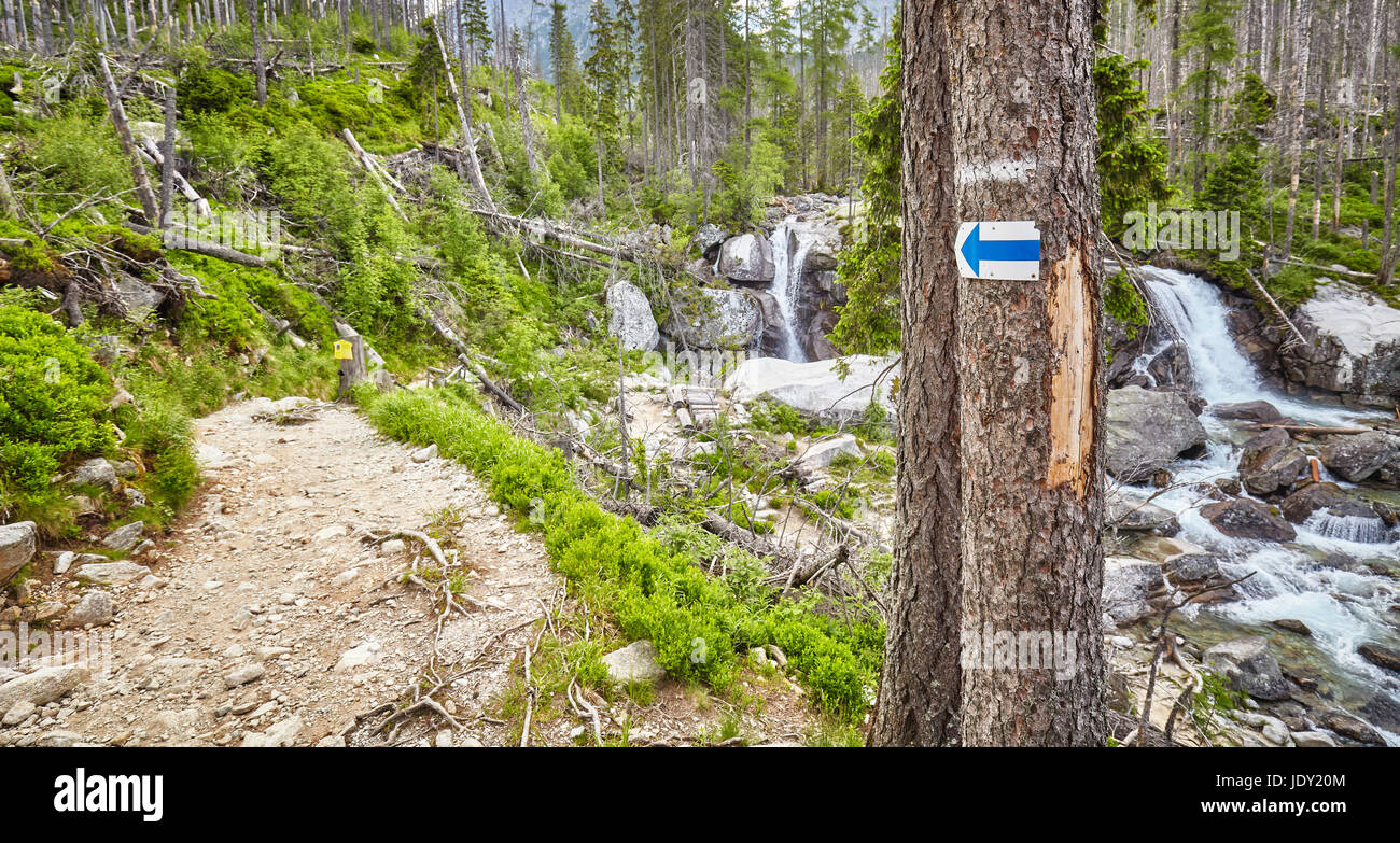 Hiking trail arrow marking on tree, High Tatra Mountains, Slovakia. Stock Photo