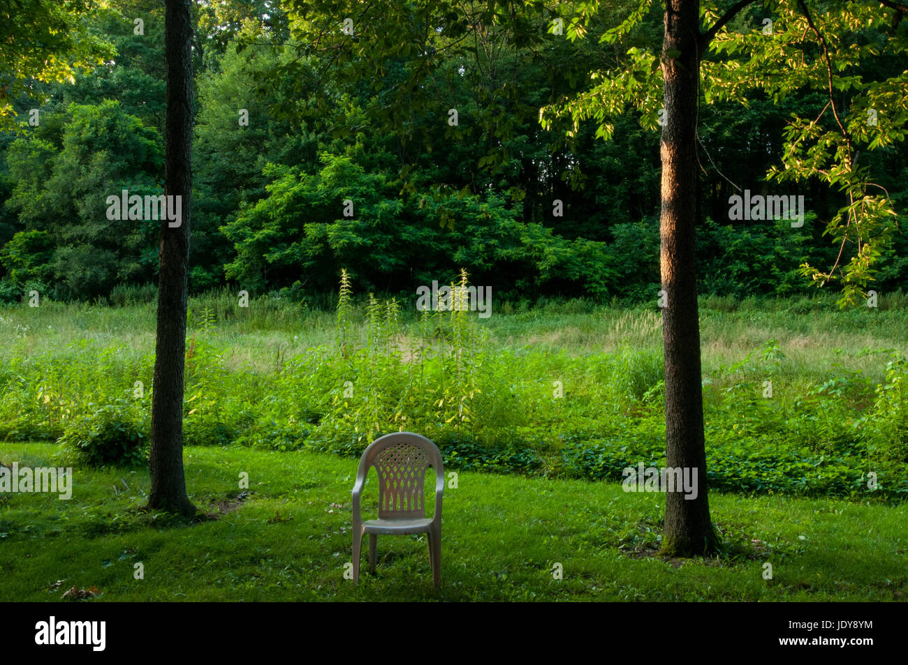 A single lawn chair between two trees in Elkhart Indiana Stock