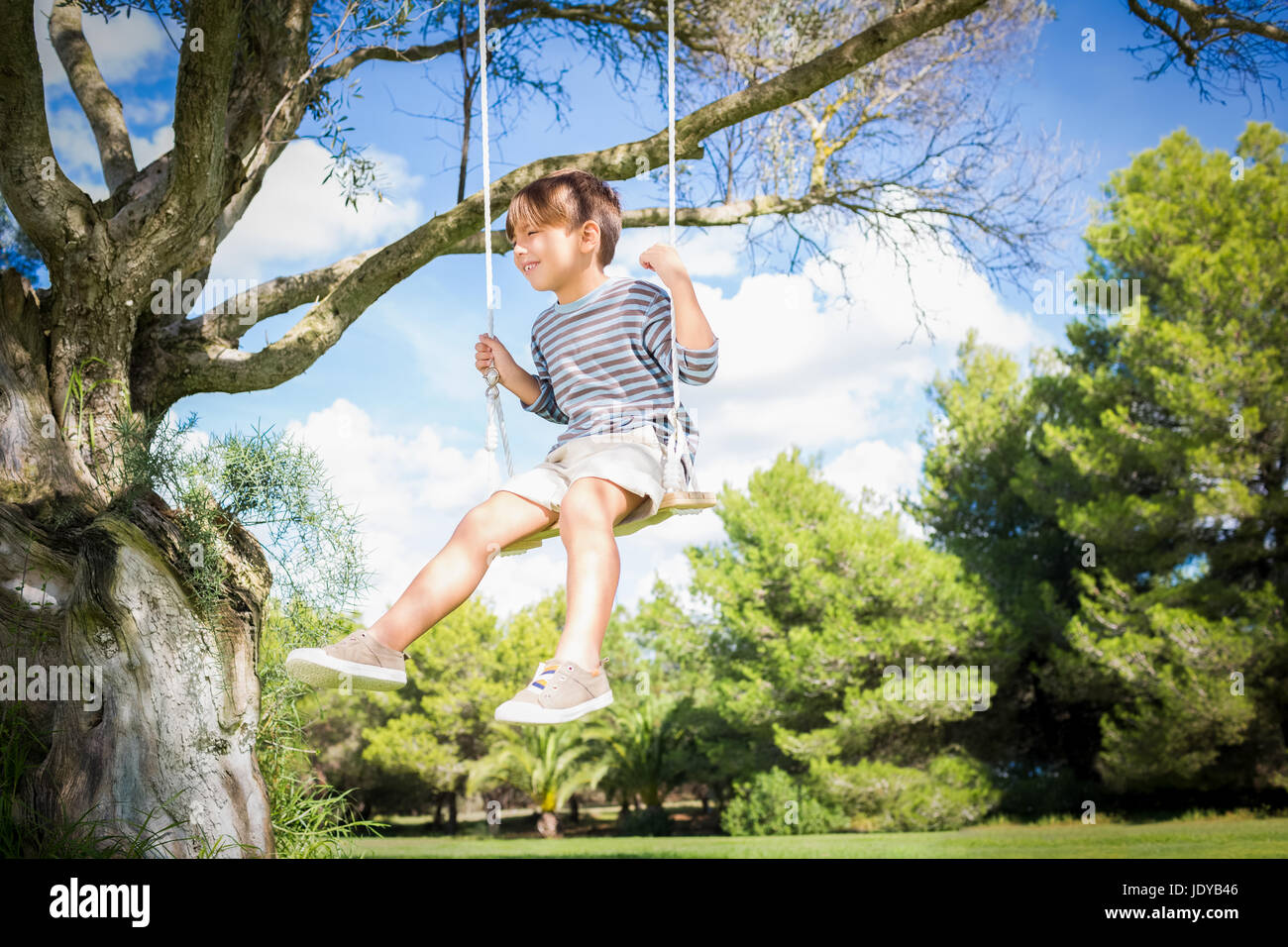 Swinging From A Tree Branch High Resolution Stock Photography and
