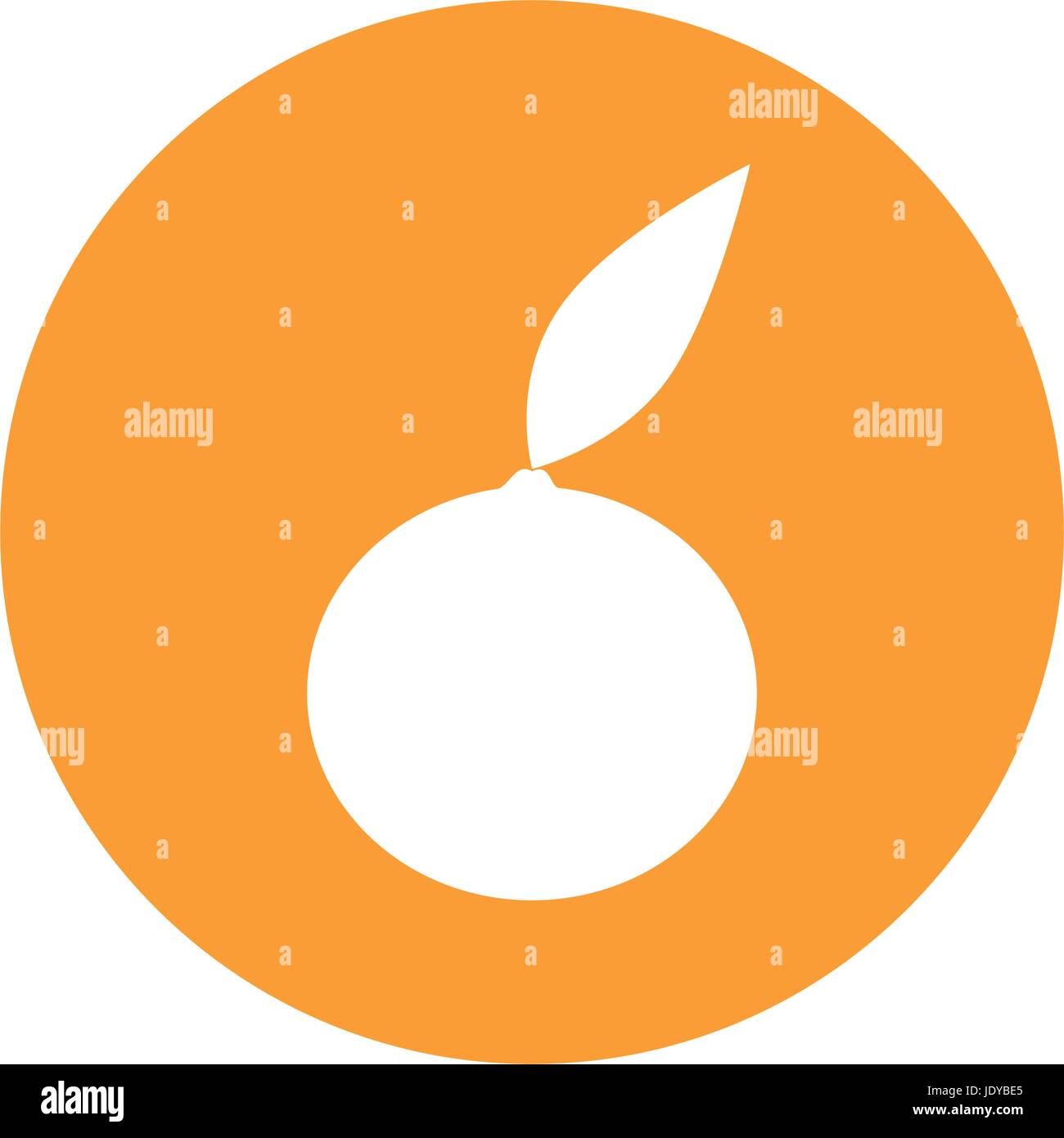 Orange round icon icon vector illustration graphic design Stock Vector ...