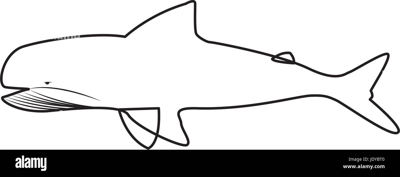 whale wildlife water animal silhouette Stock Vector