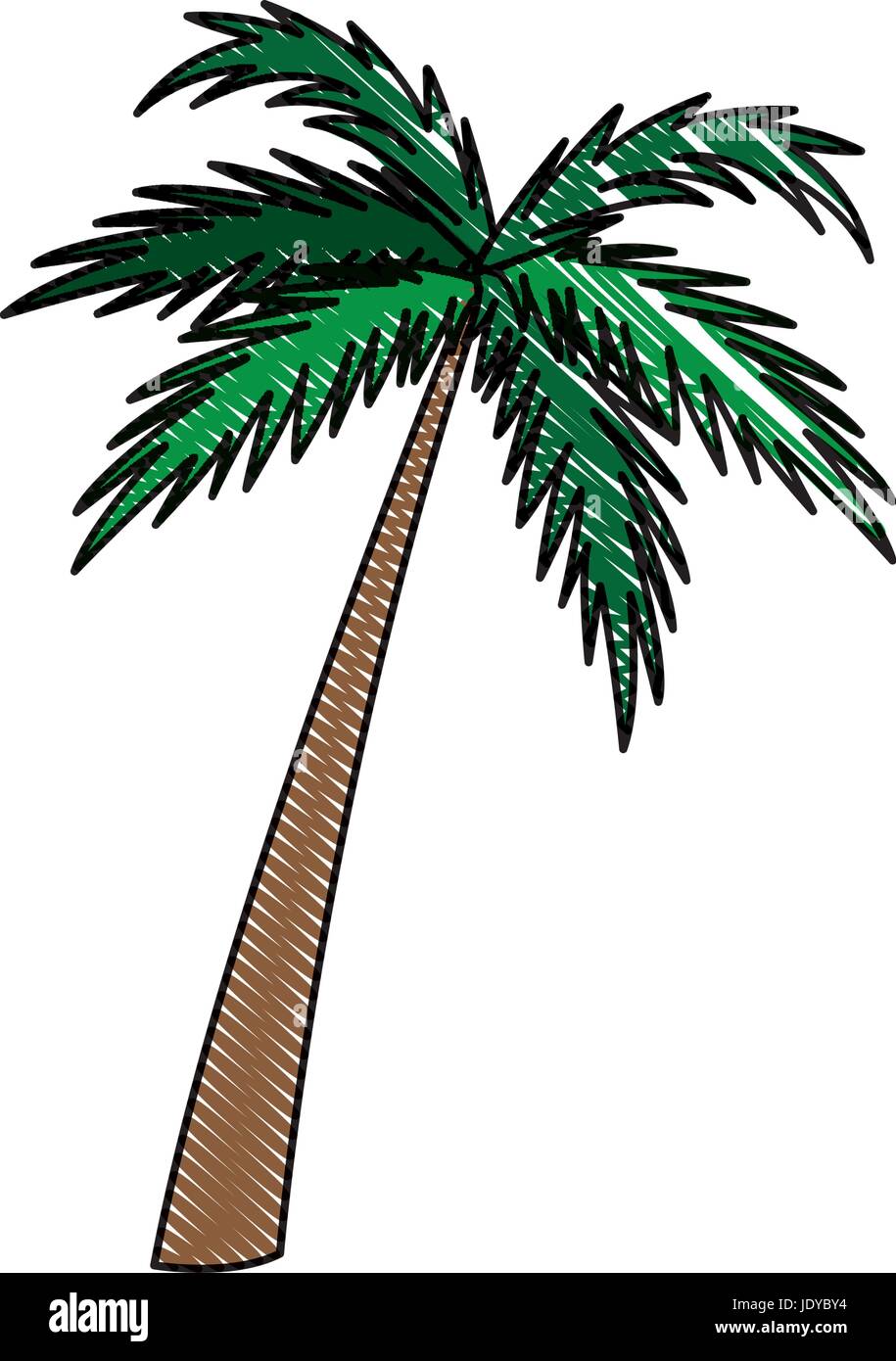 palm tree natural tropical botanical Stock Vector Image & Art - Alamy