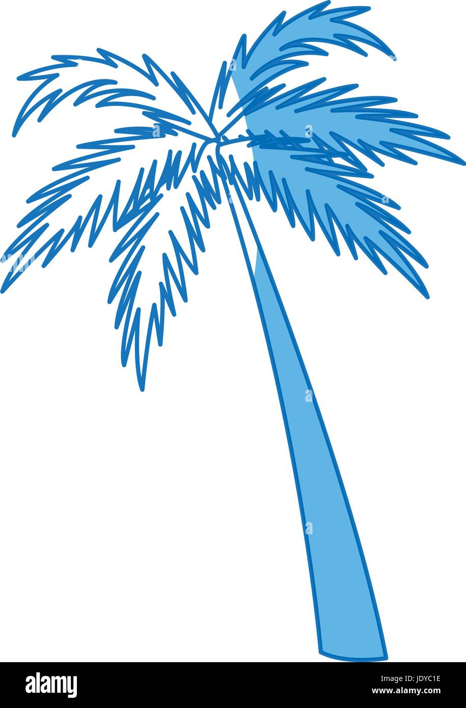 palm tree natural tropical botanical Stock Vector Image & Art - Alamy