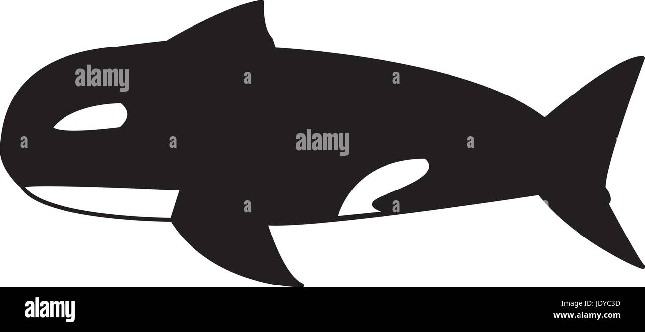 orca whale wildlife marine aquatic Stock Vector Image & Art - Alamy