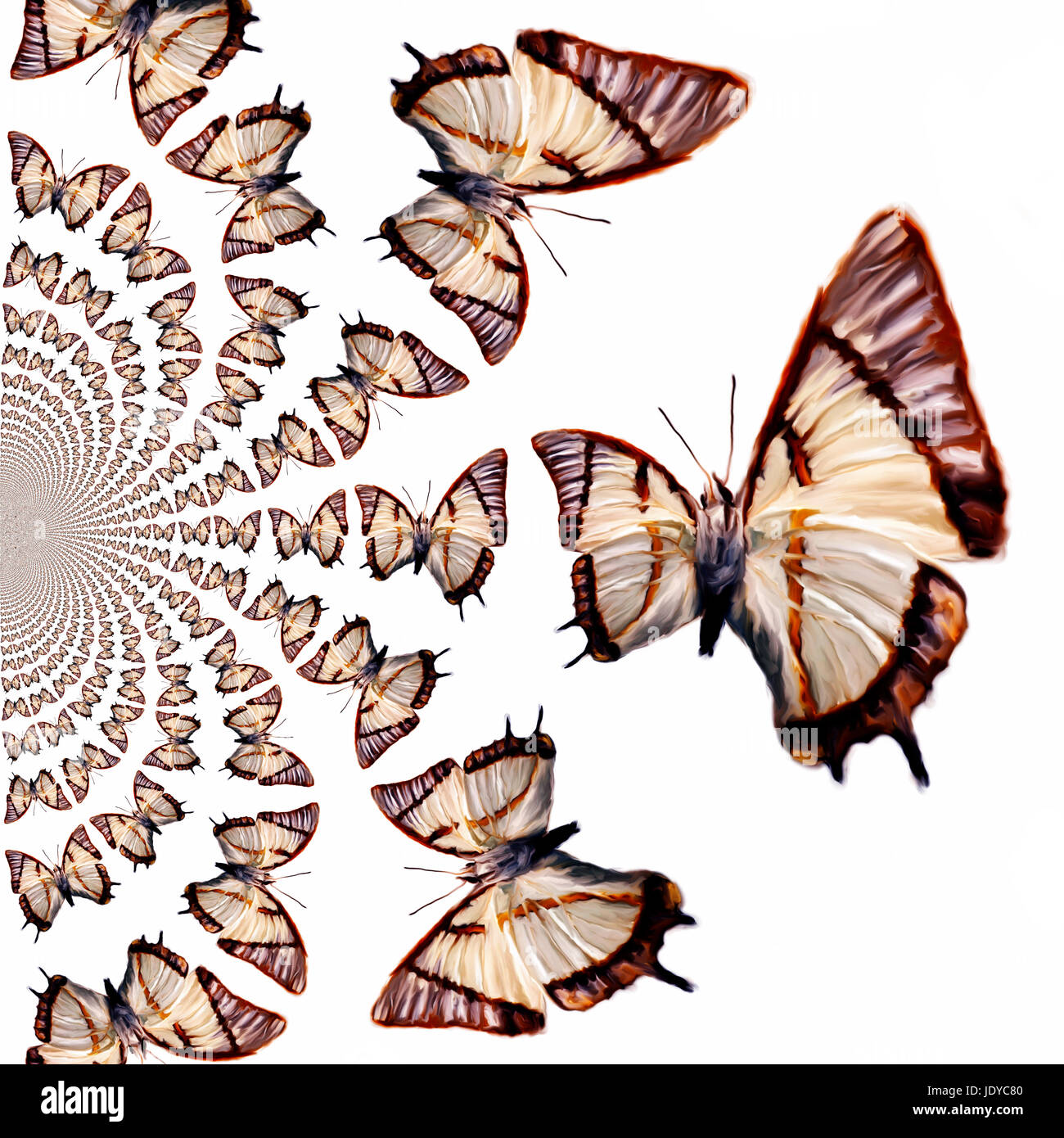 Schmetterlinge Stock Photo