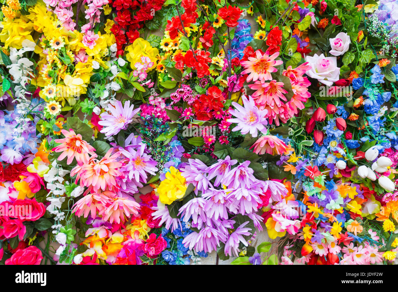 Various color flower background wall Stock Photo - Alamy