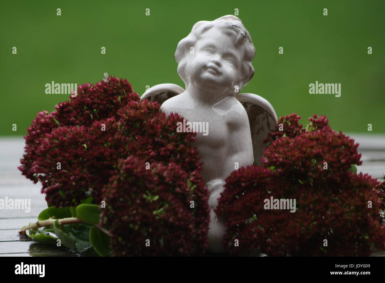 angel with flowers Stock Photo Alamy