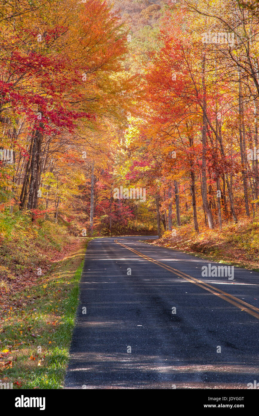 The Skyline Drive runs 105 miles north and south along the crest of the Blue Ridge Mountains in Shenandoah National Park and is the only public road t Stock Photo