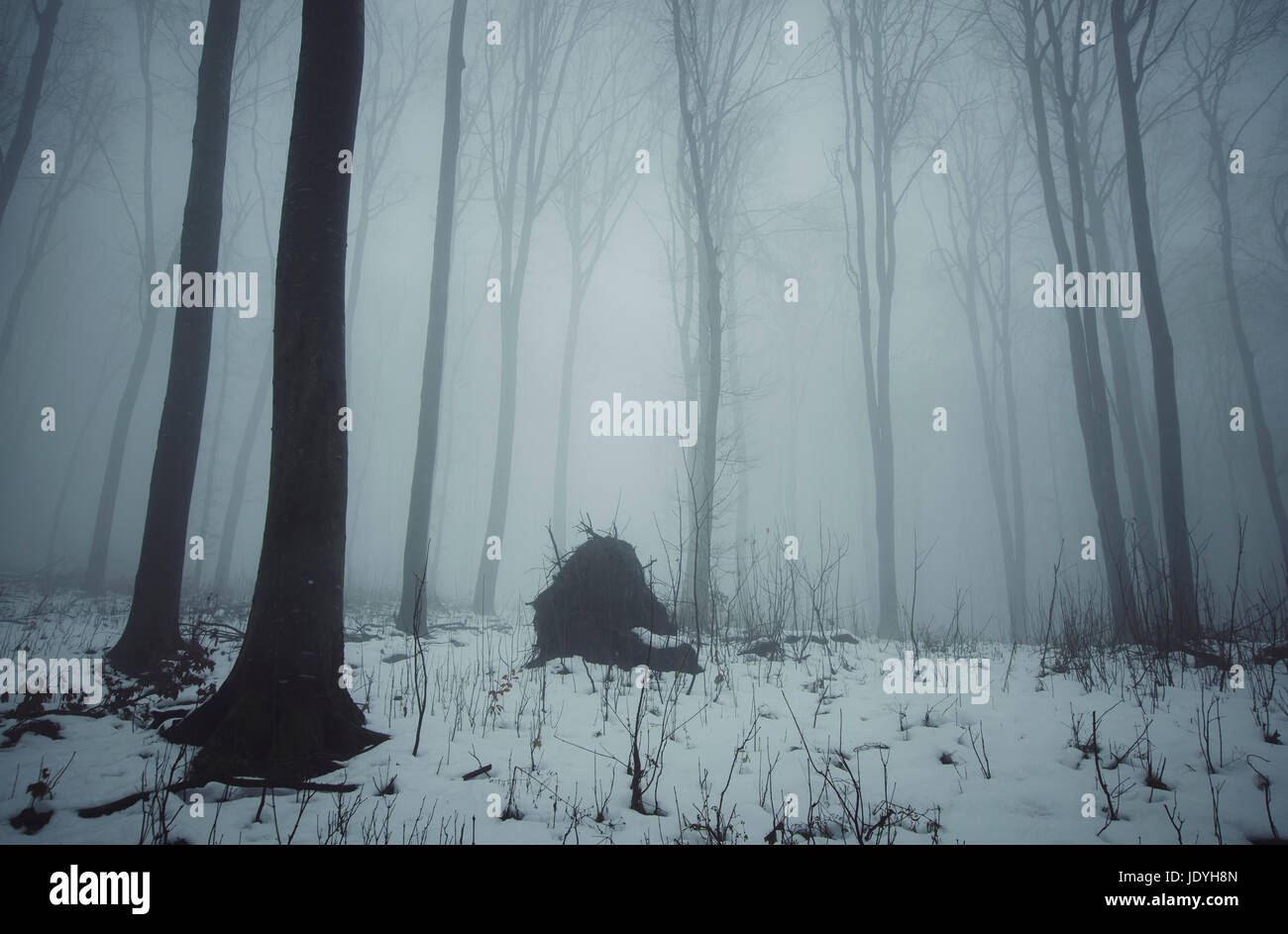 dark winter landscape with snow and fog Stock Photo