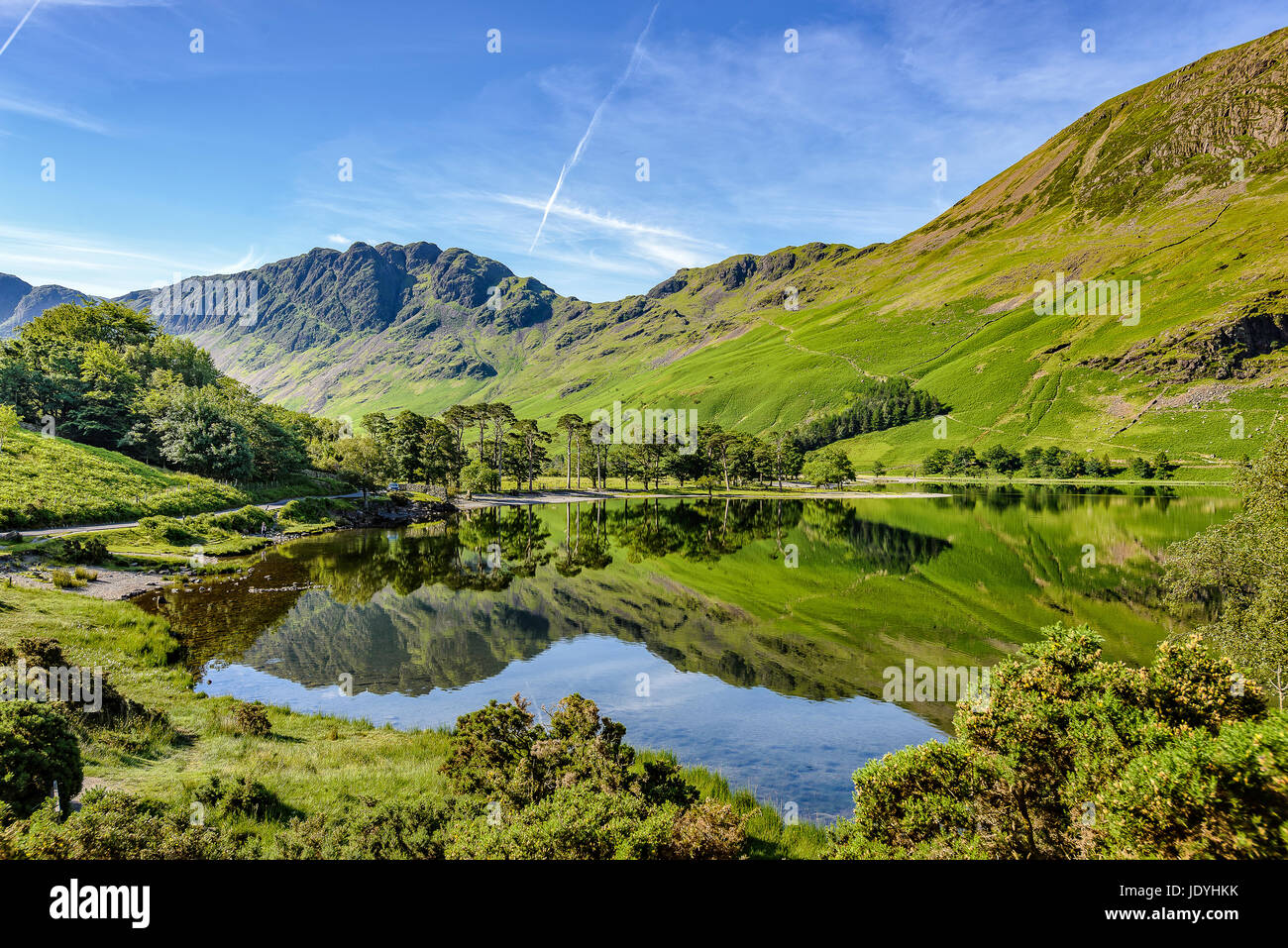Buttermere pines and Haystacks reflected in the lake Stock Photo