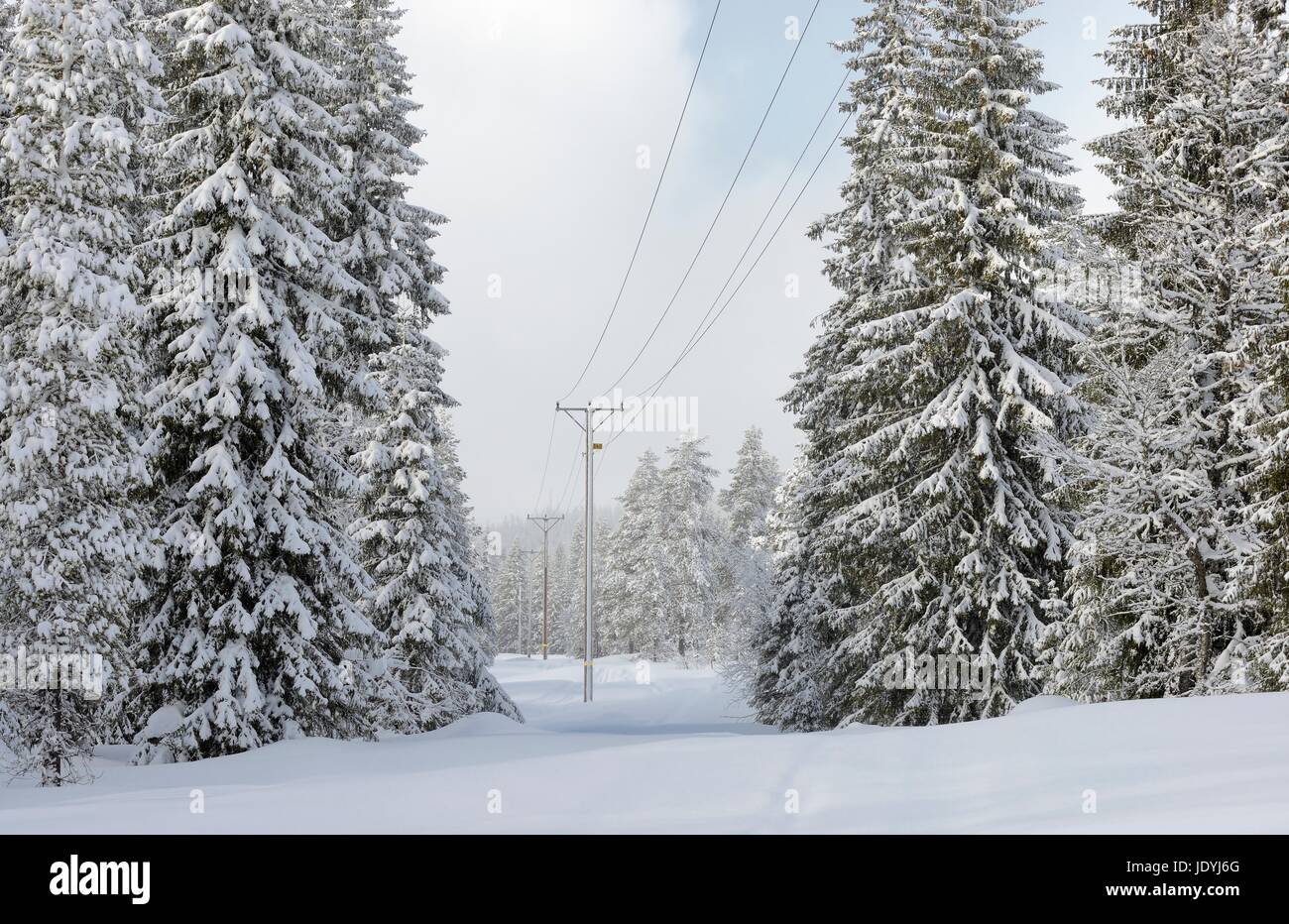 Power lines in winter landscape Stock Photo - Alamy