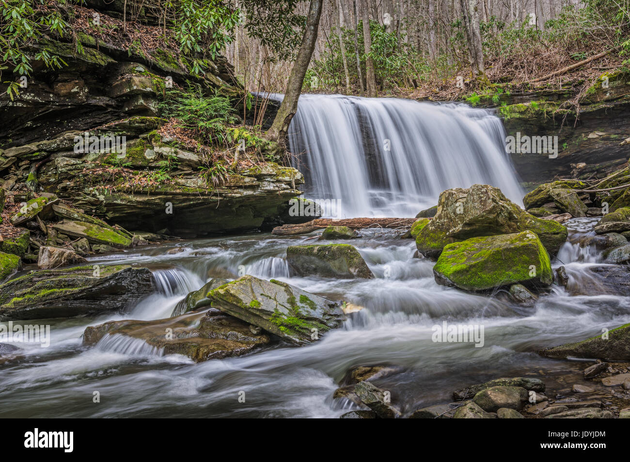 This waterfall is one of many large drops found on Arbuckle Creek in the New River Gorge of West Virginia. Stock Photo