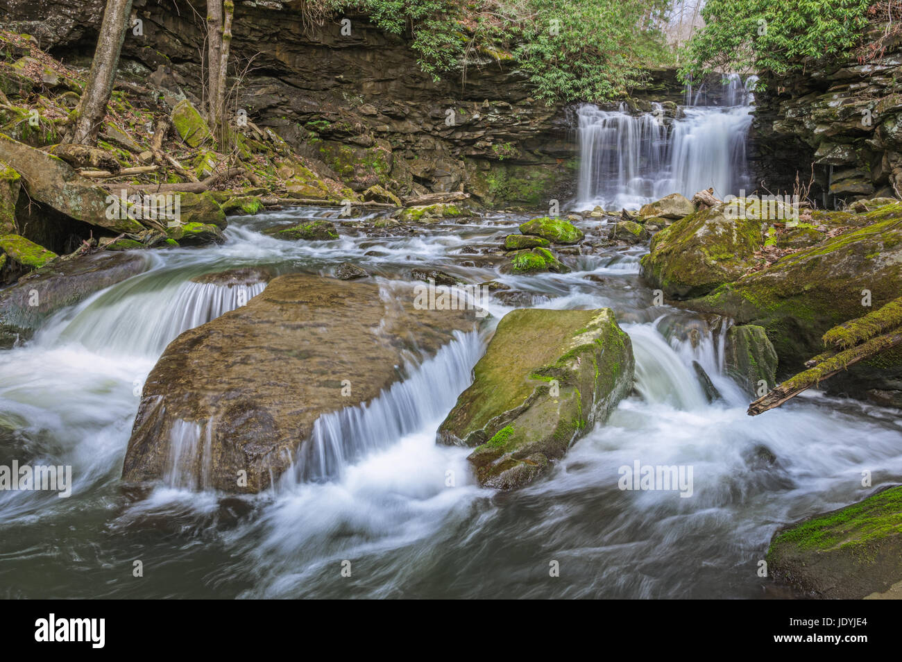 This waterfall is one of many large drops found on Arbuckle Creek in the New River Gorge of West Virginia. Stock Photo