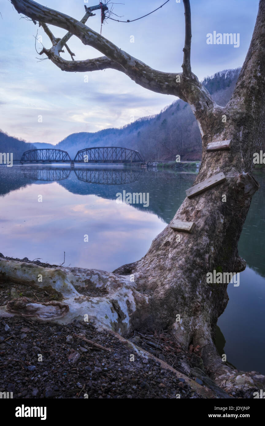 Early morning highlights the steps leading to a rope swing, on the side of a sycamore hanging on the edge of Hawks Nest Lake and railroad trestle. Stock Photo