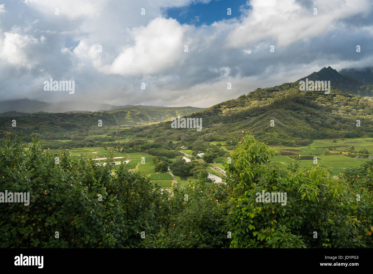 Hanalei valley from Princeville overlook Kauai Stock Photo