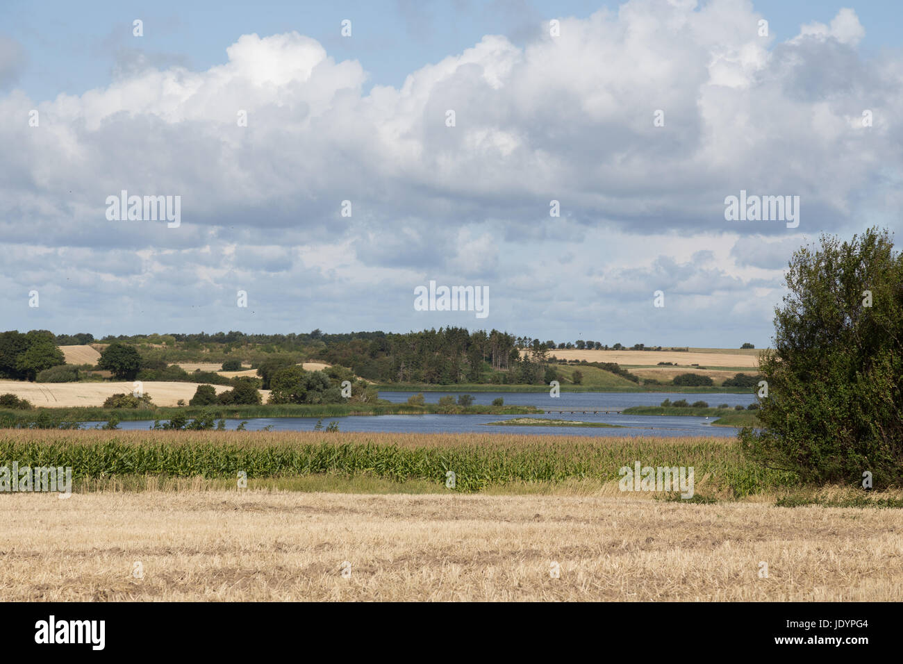 Ein malerischer See inmitten von abgeernteten Feldern Stock Photo