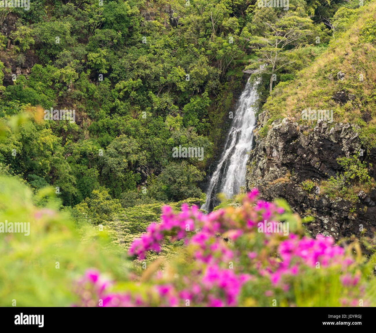 Hawaii flower waterfall hi-res stock photography and images - Alamy
