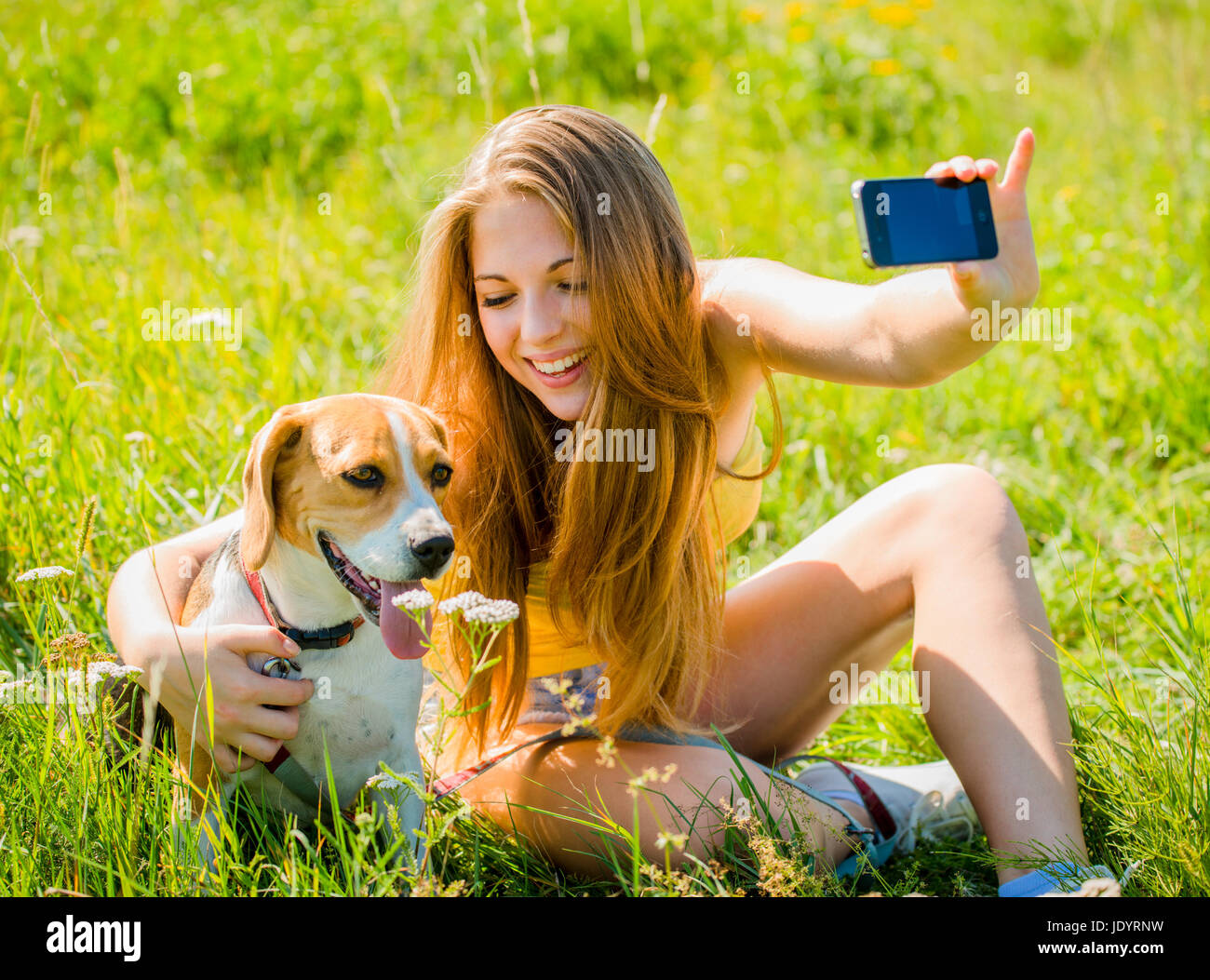 Teen girl taking photo of herself and her dog with mobile phone camera ...